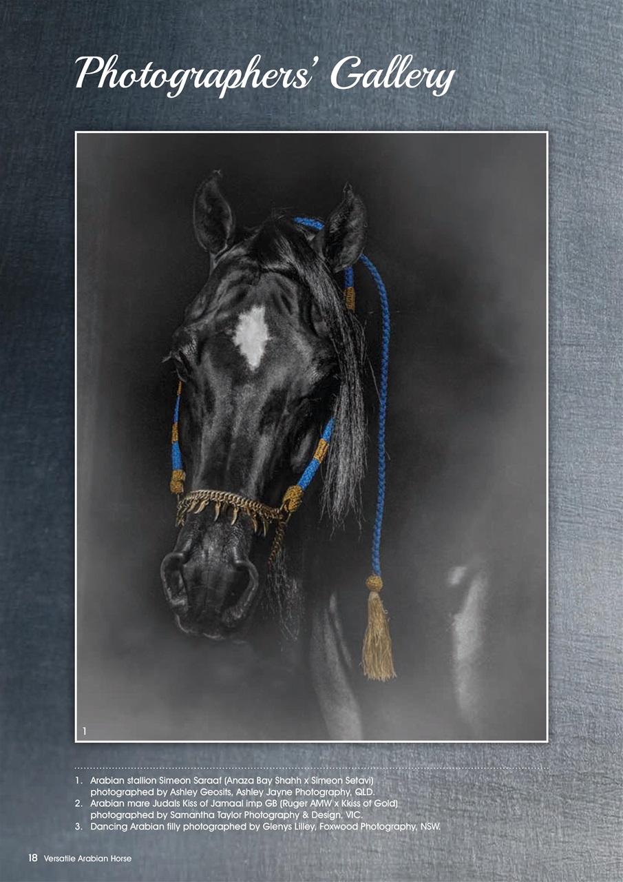 Australian Arabian Horse News Preview Pages