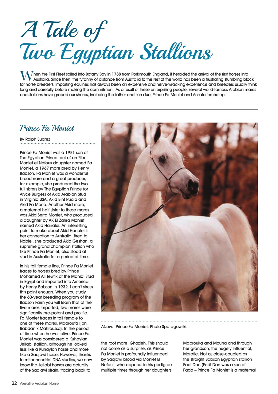 Australian Arabian Horse News Preview Pages
