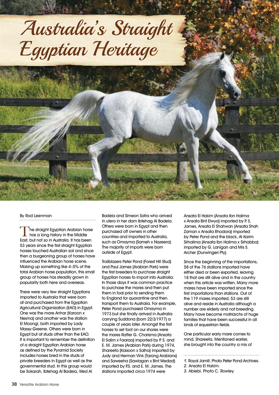 Australian Arabian Horse News Preview Pages