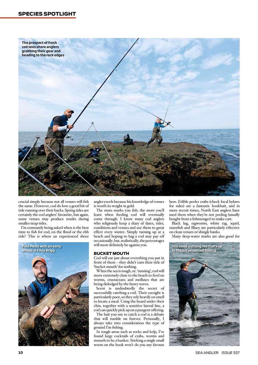 Sea Angler Preview Pages