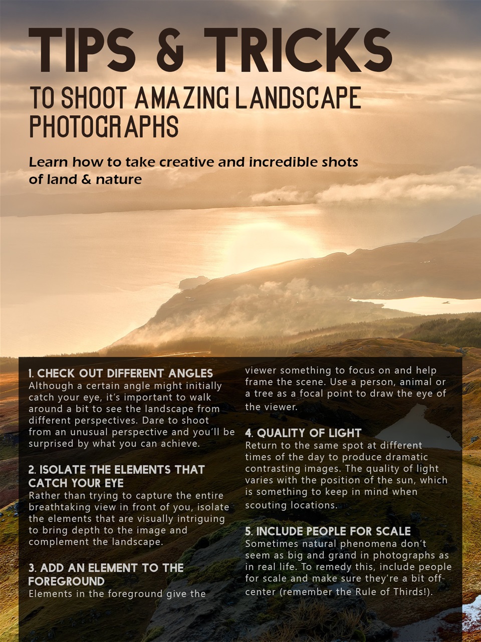 Lens Magazine Preview Pages