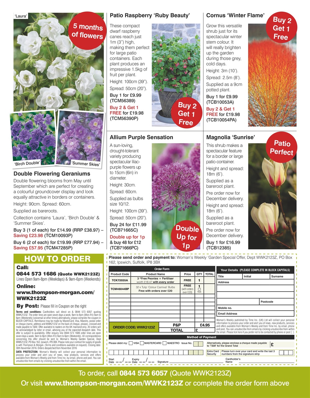 Woman's Weekly Preview Pages