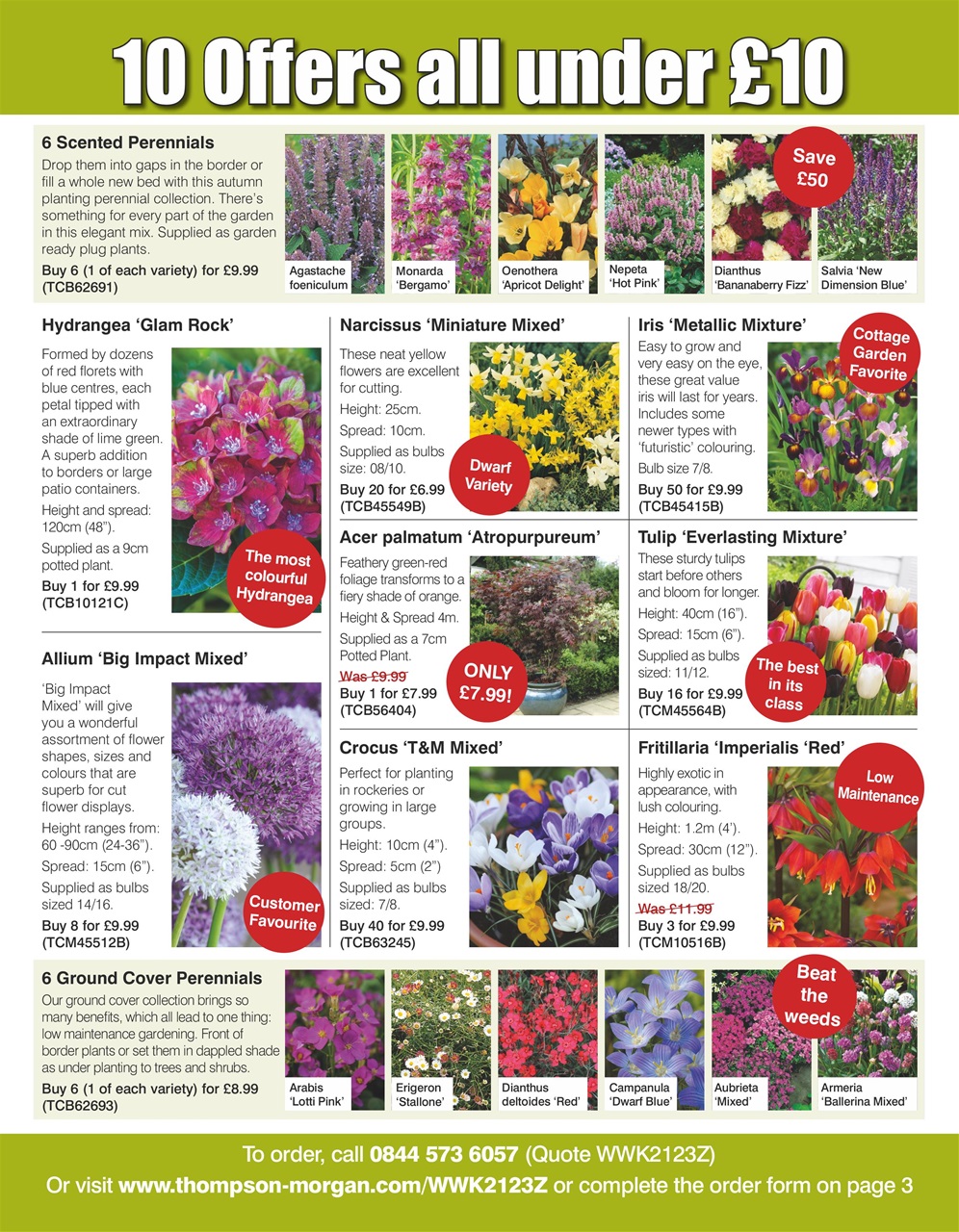 Woman's Weekly Preview Pages