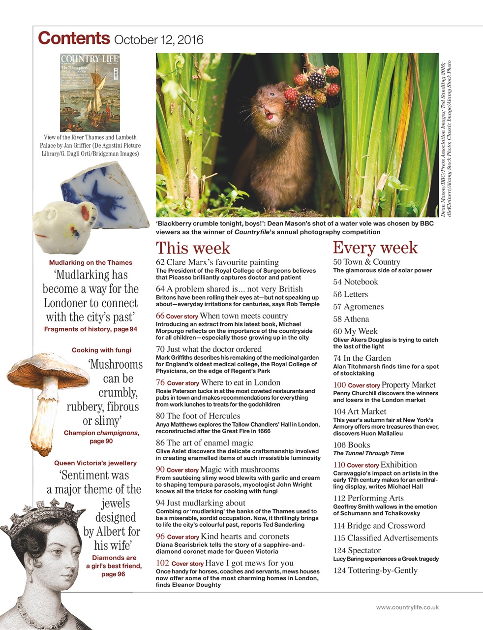 Country Life Preview Pages