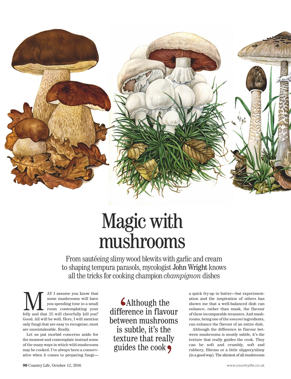 Country Life Preview Pages