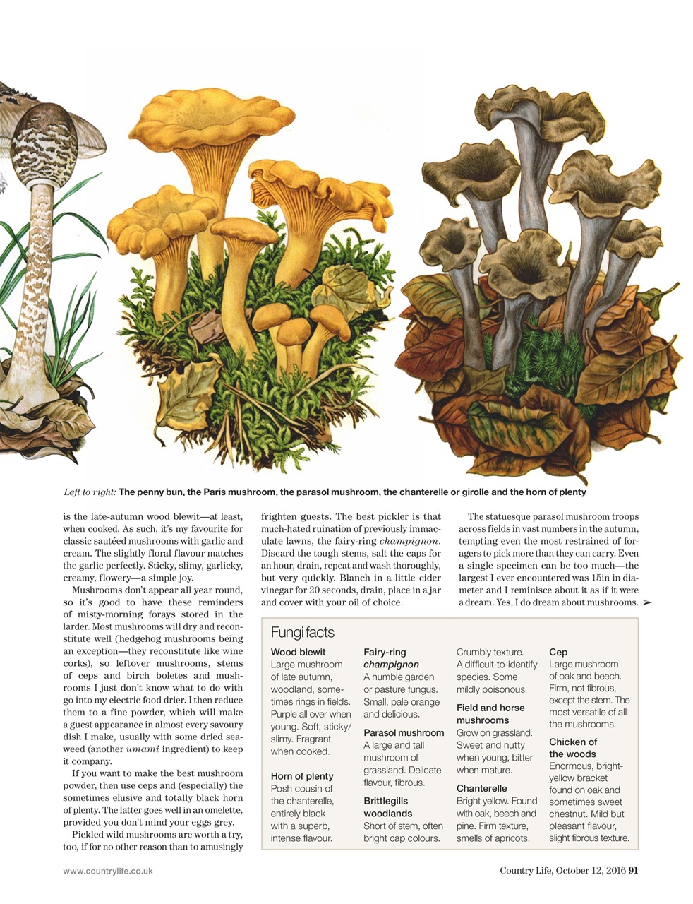 Country Life Preview Pages