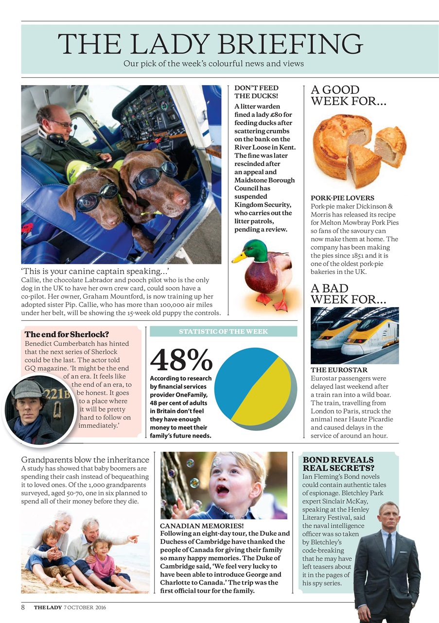 The Lady Preview Pages