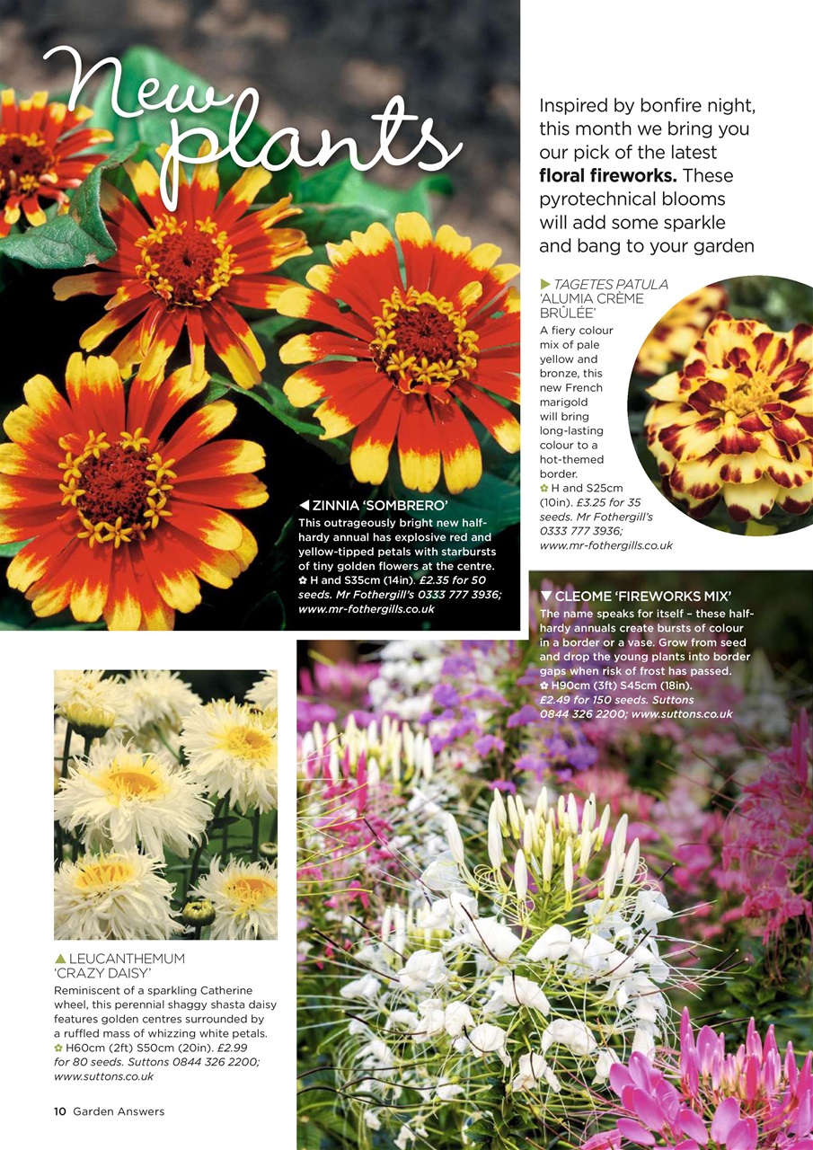 Garden Answers Preview Pages