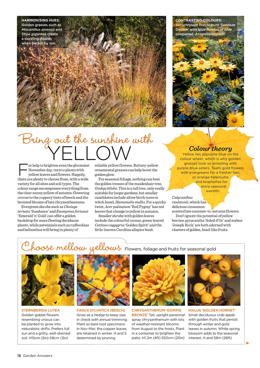 Garden Answers Preview Pages