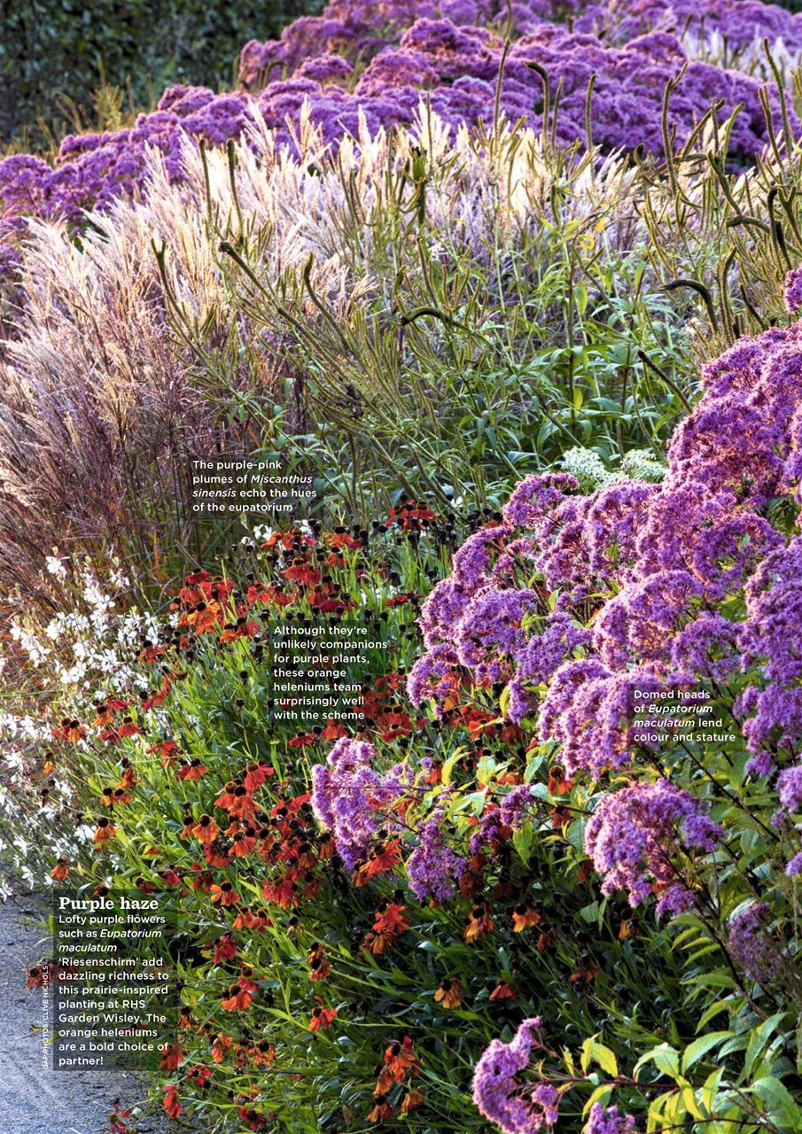 Garden Answers Preview Pages