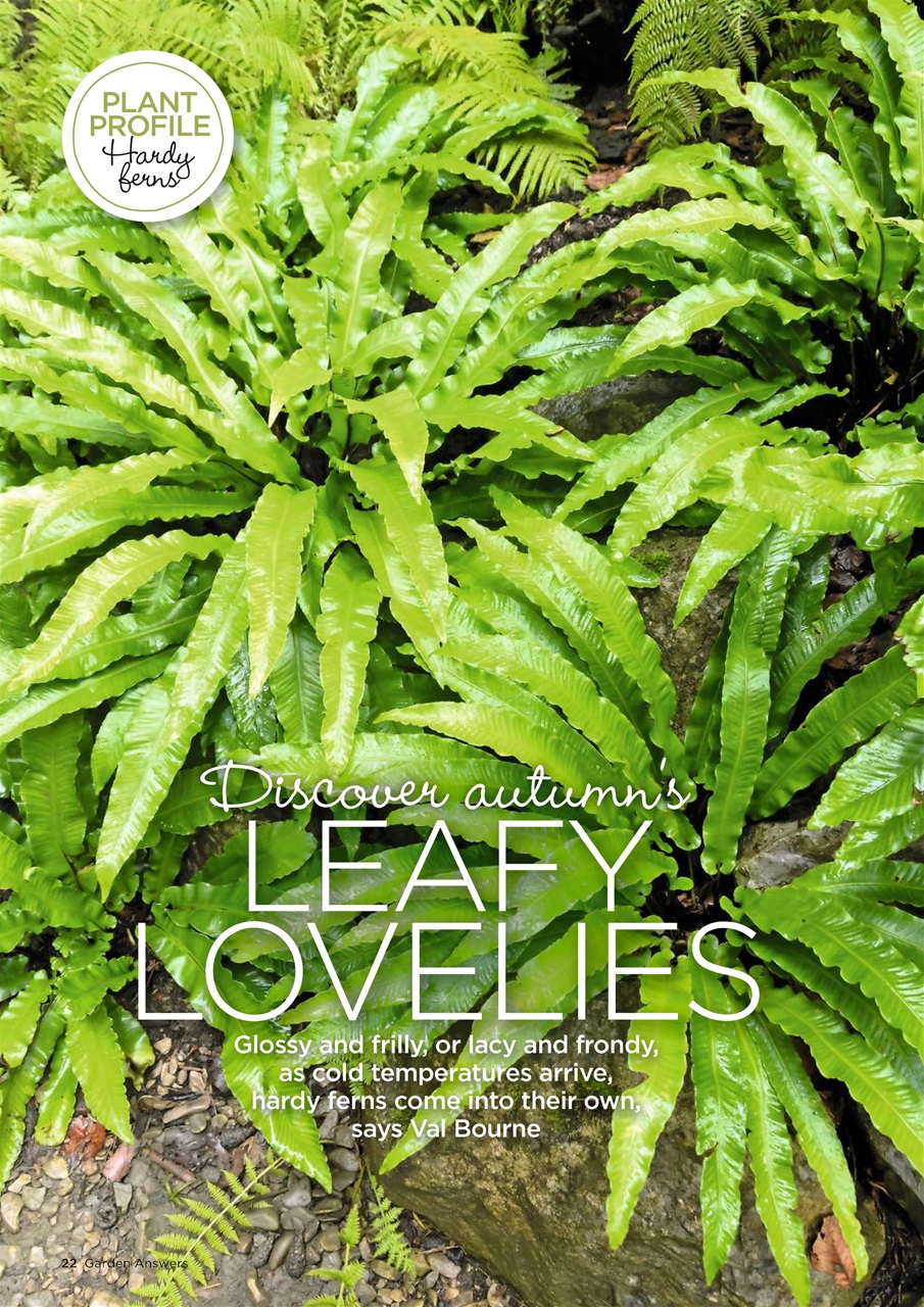 Garden Answers Preview Pages