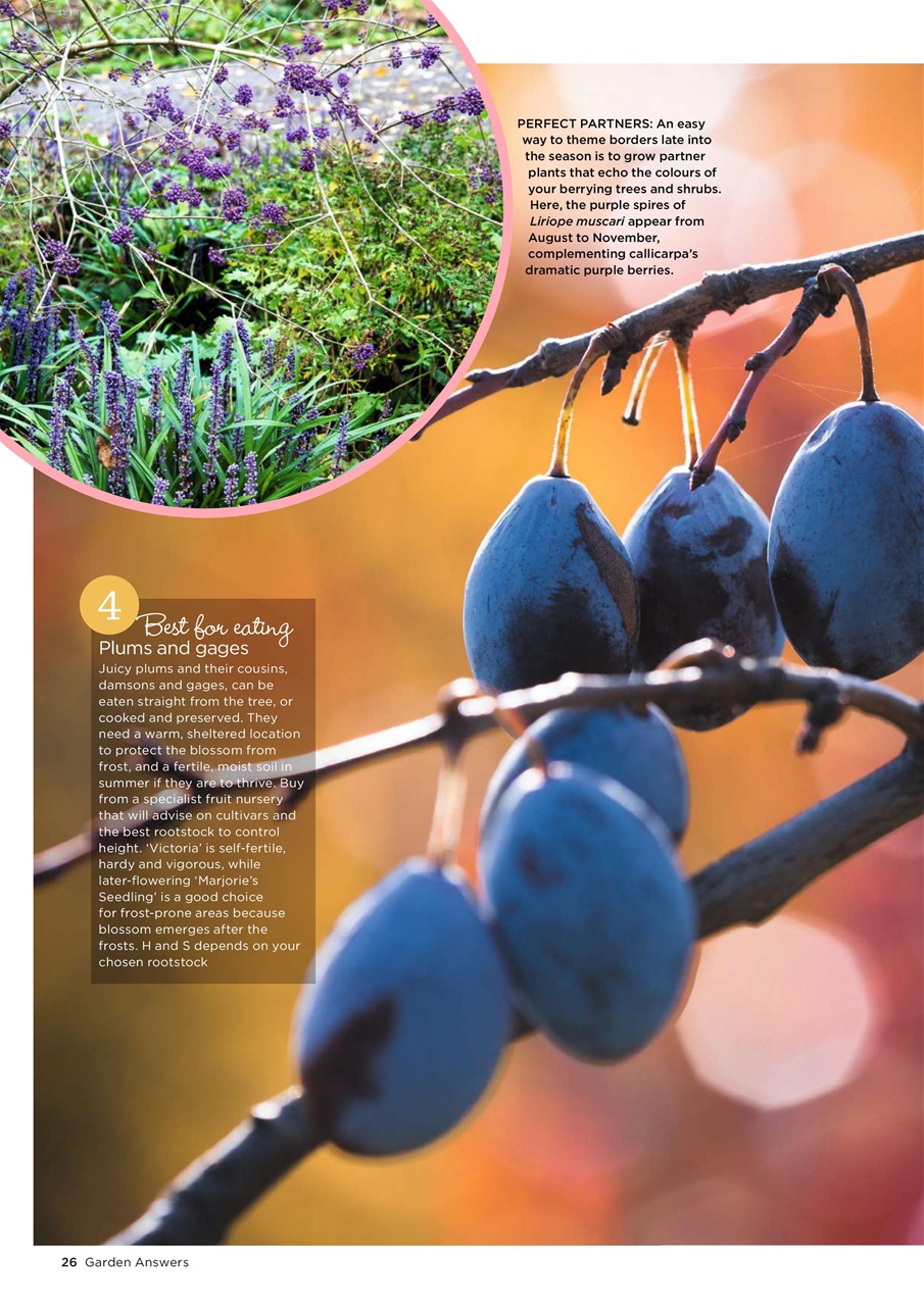 Garden Answers Preview Pages