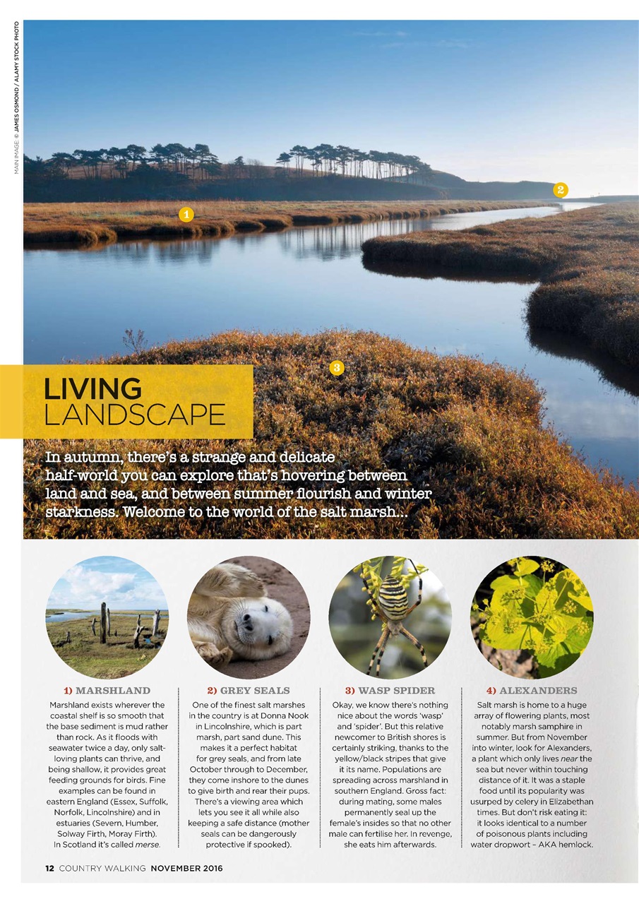 Country Walking Preview Pages