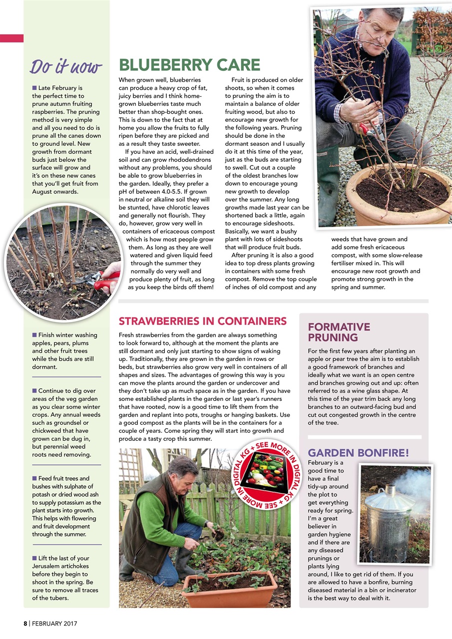 Kitchen Garden Magazine Preview Pages