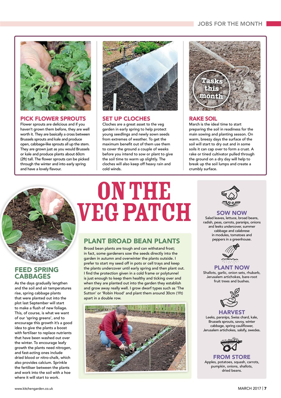 Kitchen Garden Magazine Preview Pages
