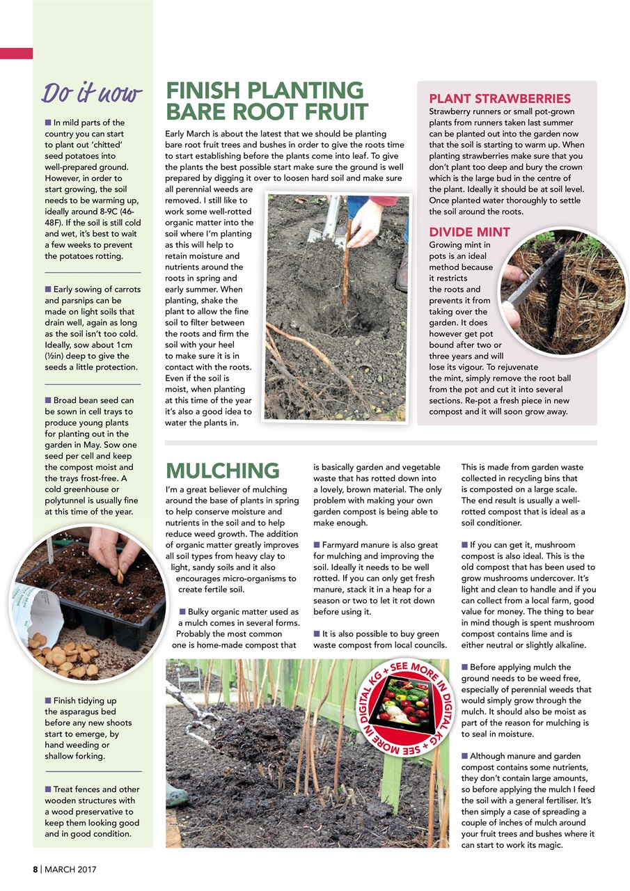 Kitchen Garden Magazine Preview Pages