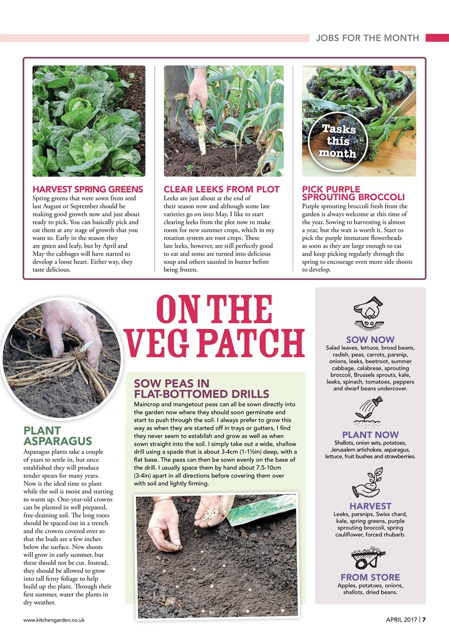 Kitchen Garden Magazine Preview Pages