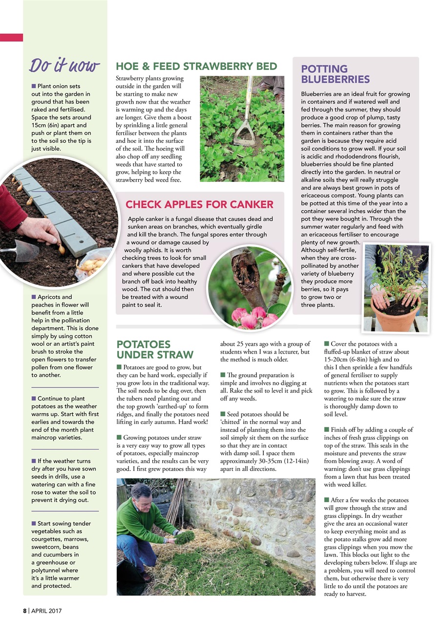 Kitchen Garden Magazine Preview Pages