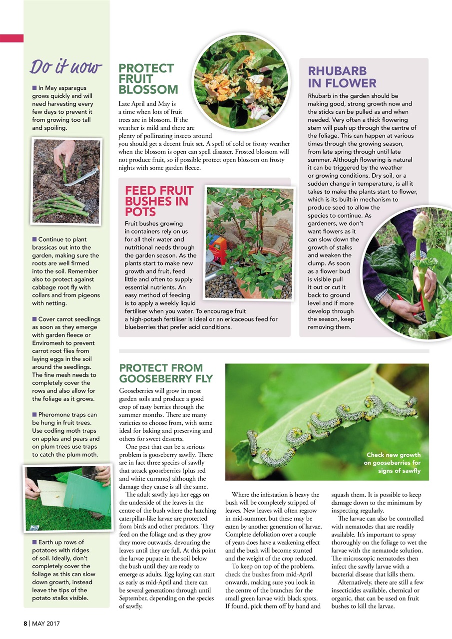 Kitchen Garden Magazine Preview Pages
