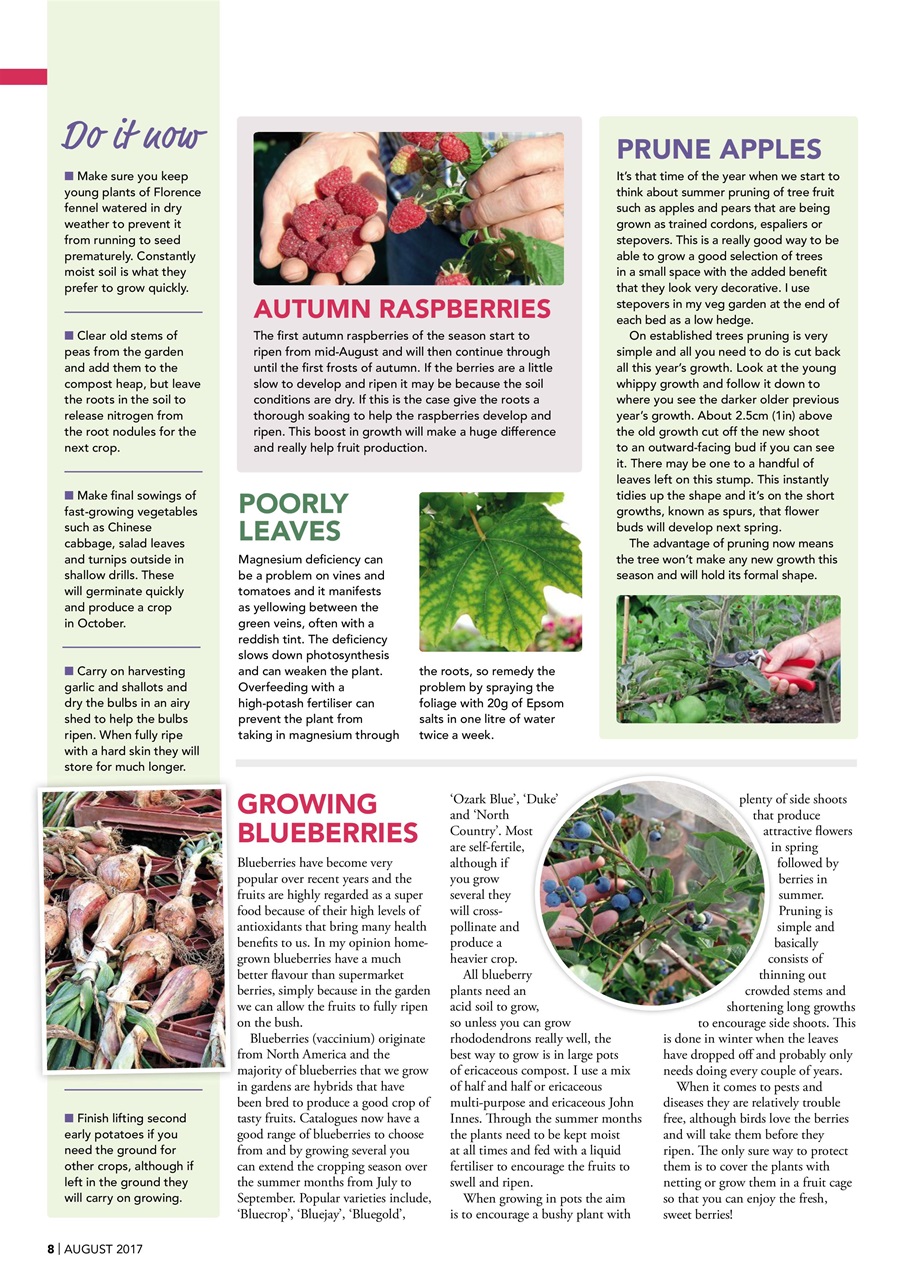 Kitchen Garden Magazine Preview Pages