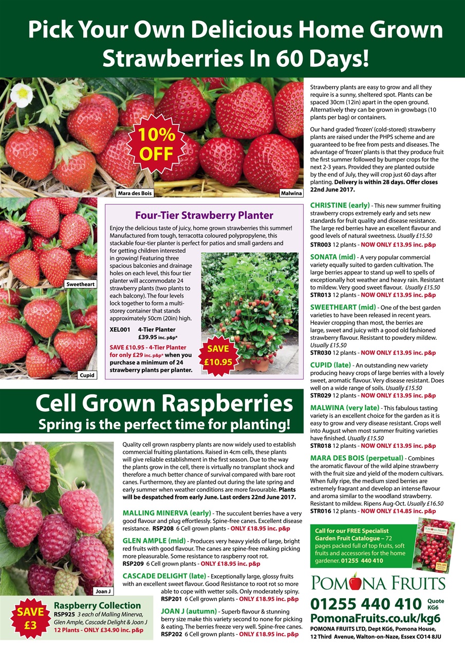 Kitchen Garden Magazine Preview Pages