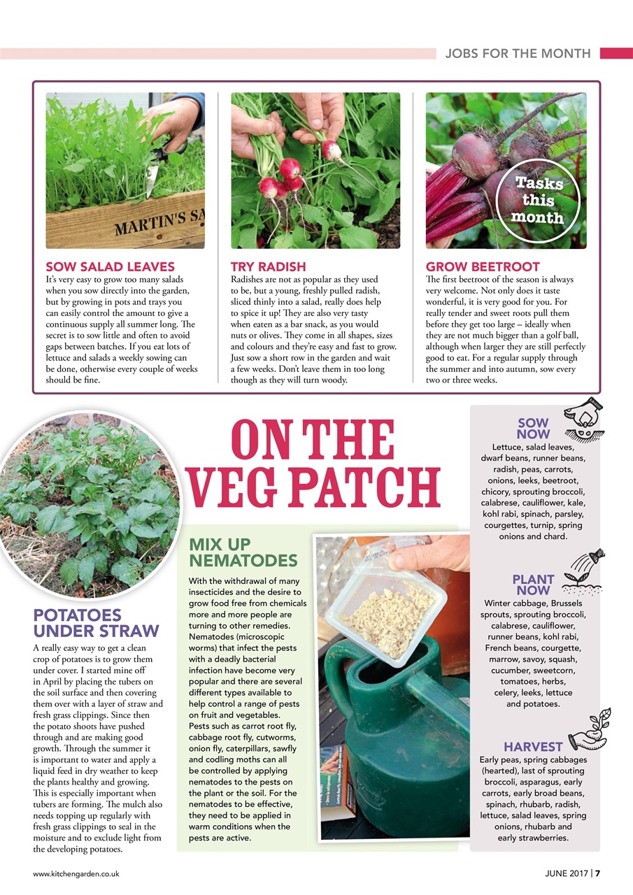 Kitchen Garden Magazine Preview Pages