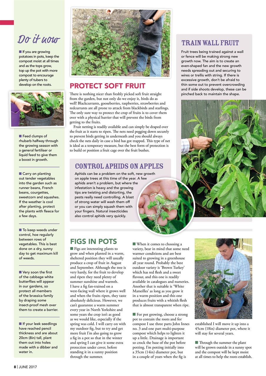 Kitchen Garden Magazine Preview Pages