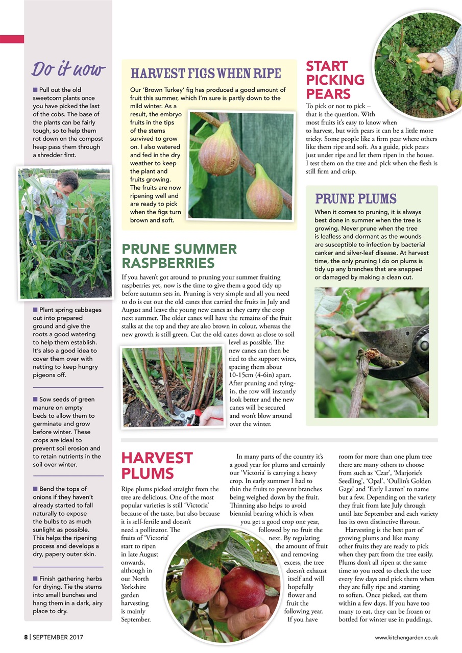 Kitchen Garden Magazine Preview Pages