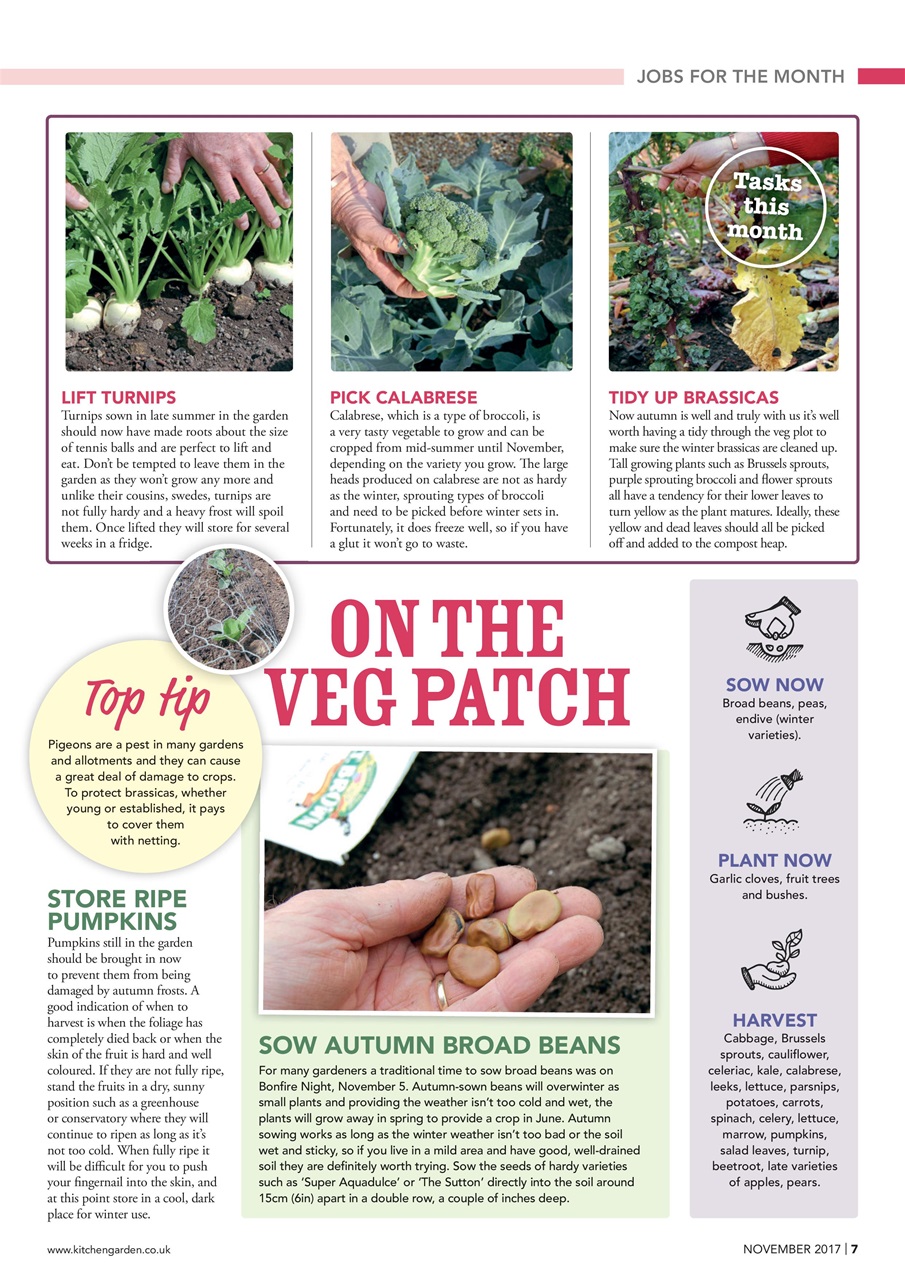 Kitchen Garden Magazine Preview Pages