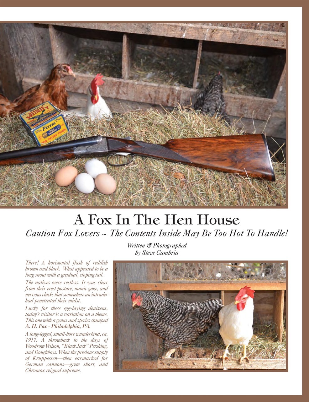 Double Gun Journal Preview Pages