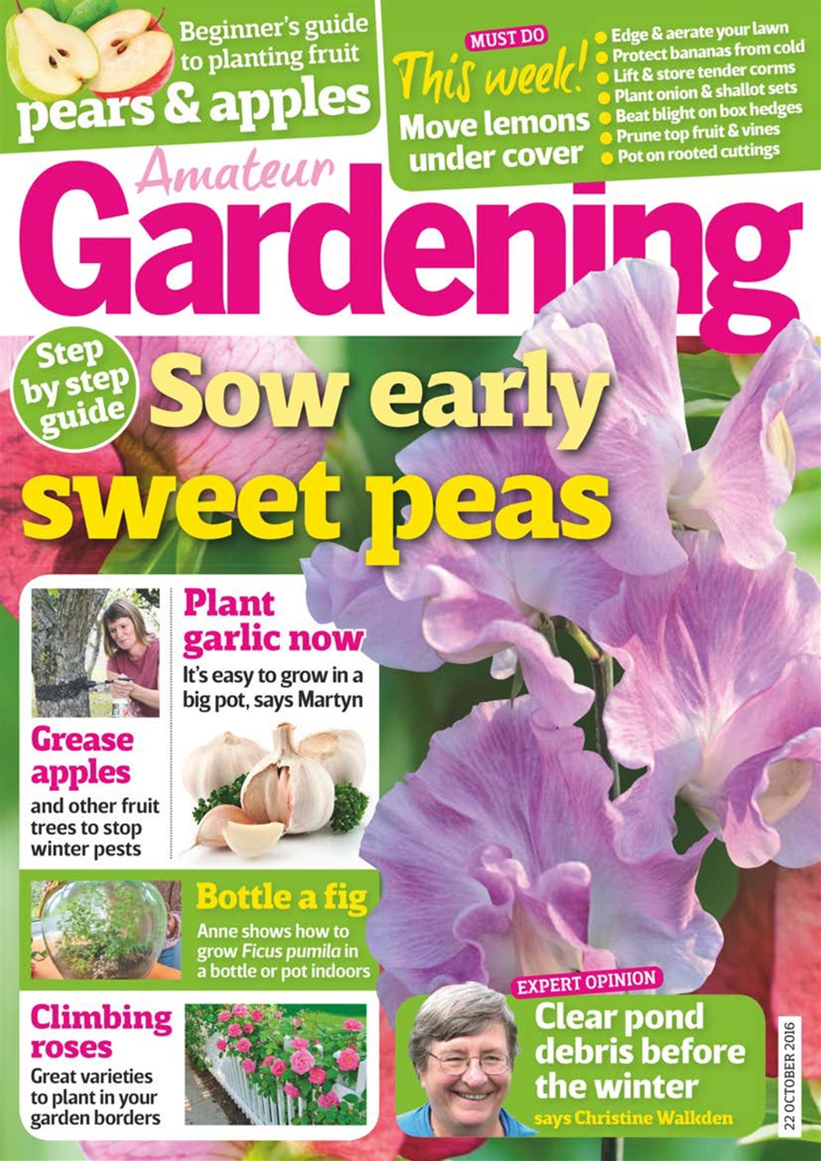 Amateur Gardening Preview Pages