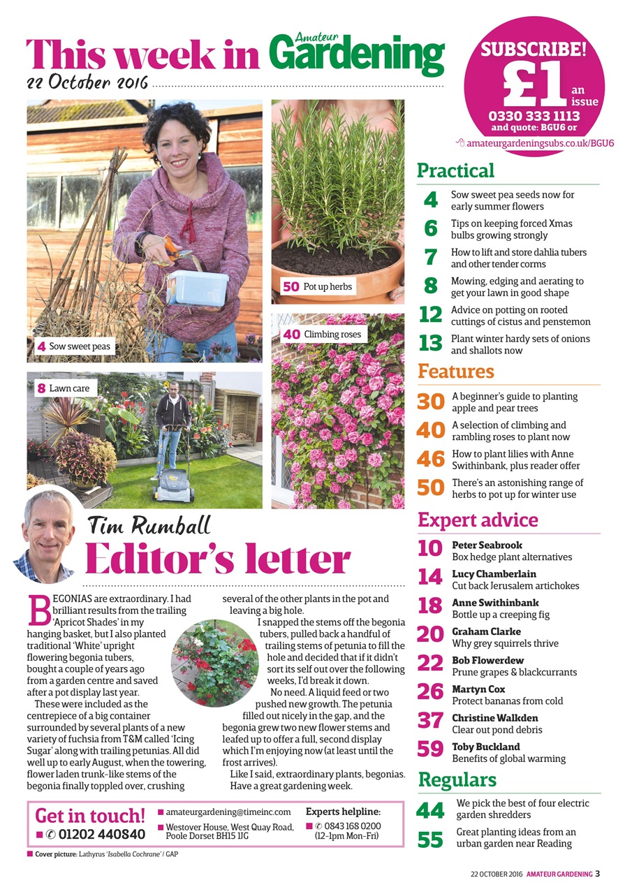 Amateur Gardening Preview Pages