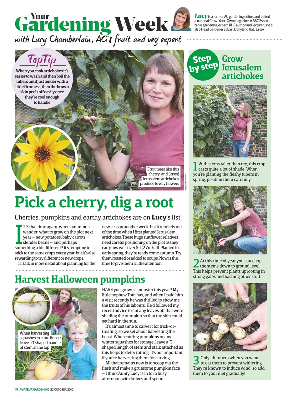Amateur Gardening Preview Pages
