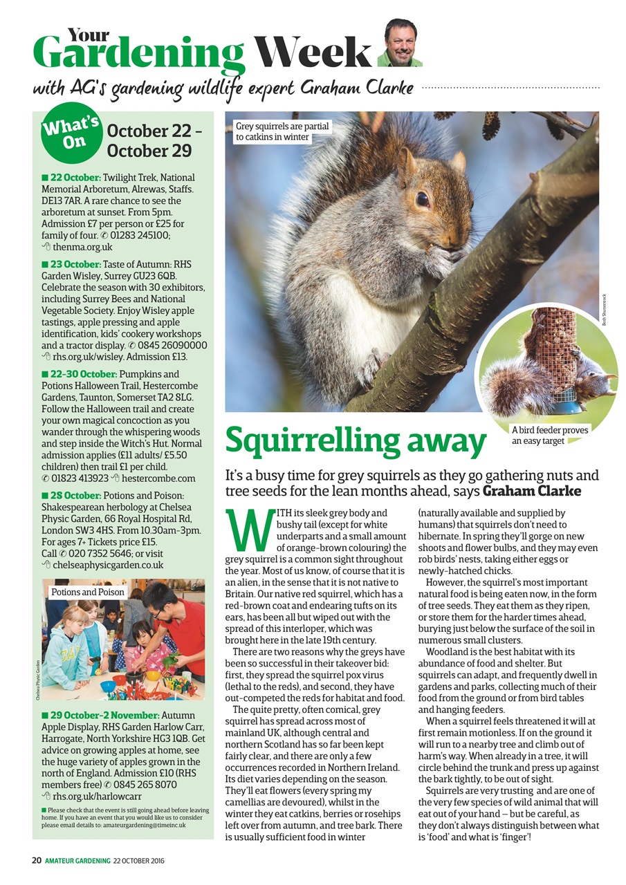 Amateur Gardening Preview Pages