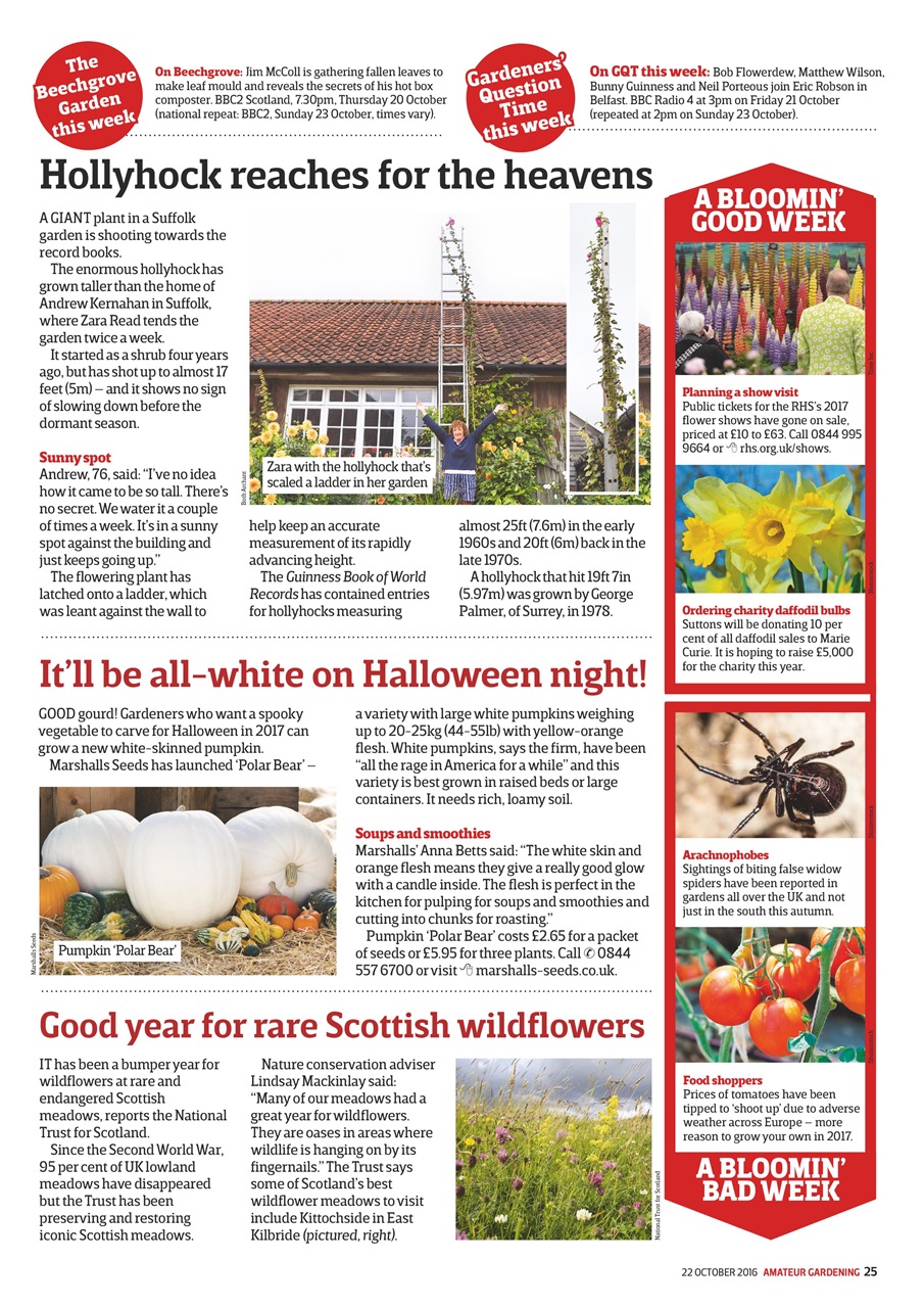 Amateur Gardening Preview Pages