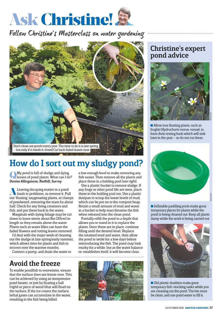 Amateur Gardening Preview Pages