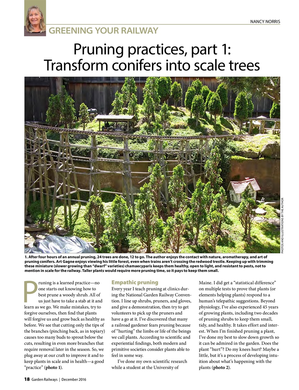 Garden Railways Preview Pages