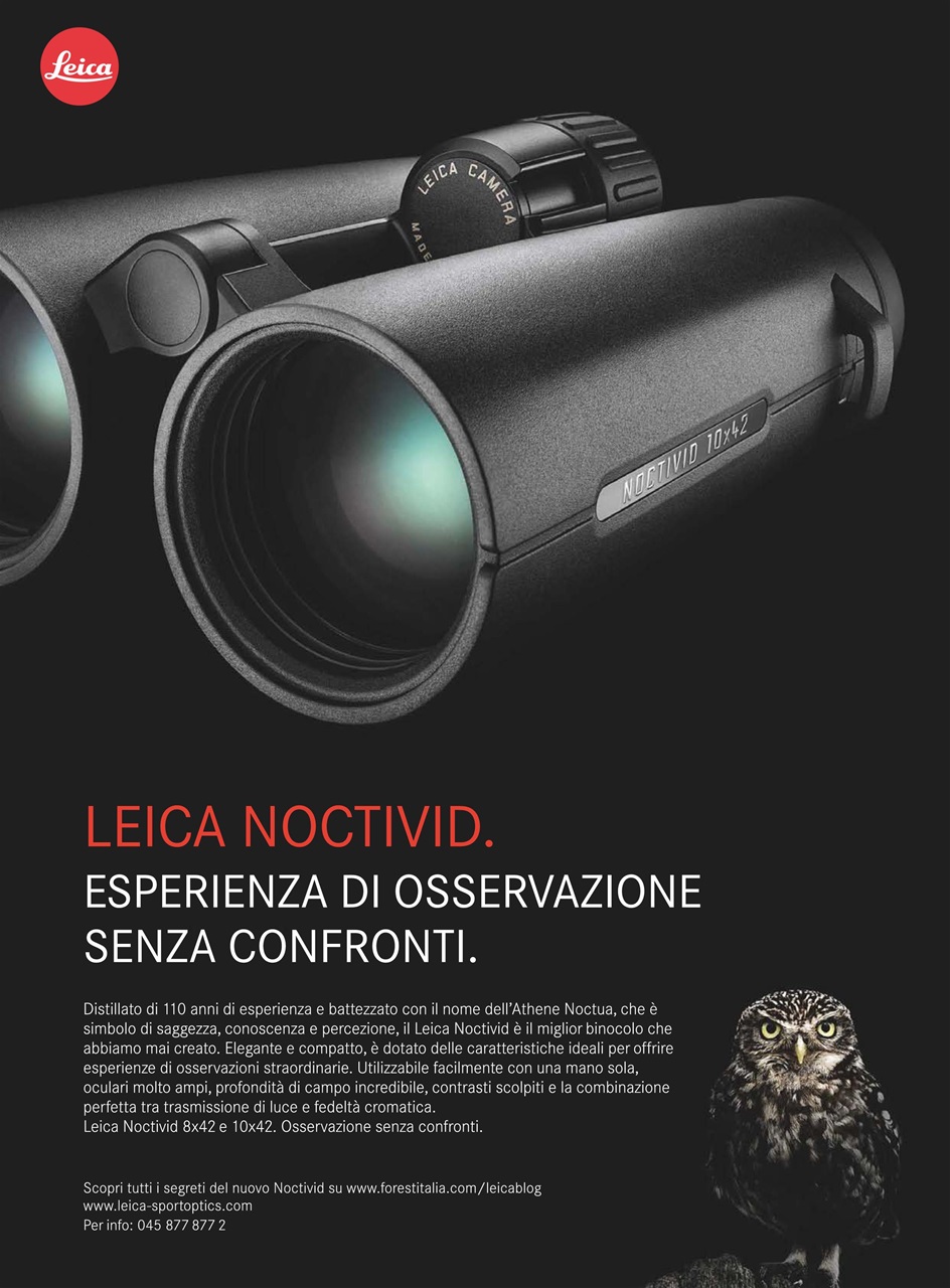 Caccia Magazine Preview Pages