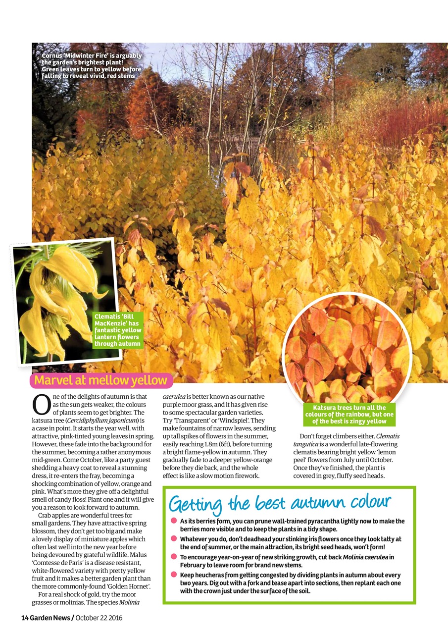 Garden News Preview Pages