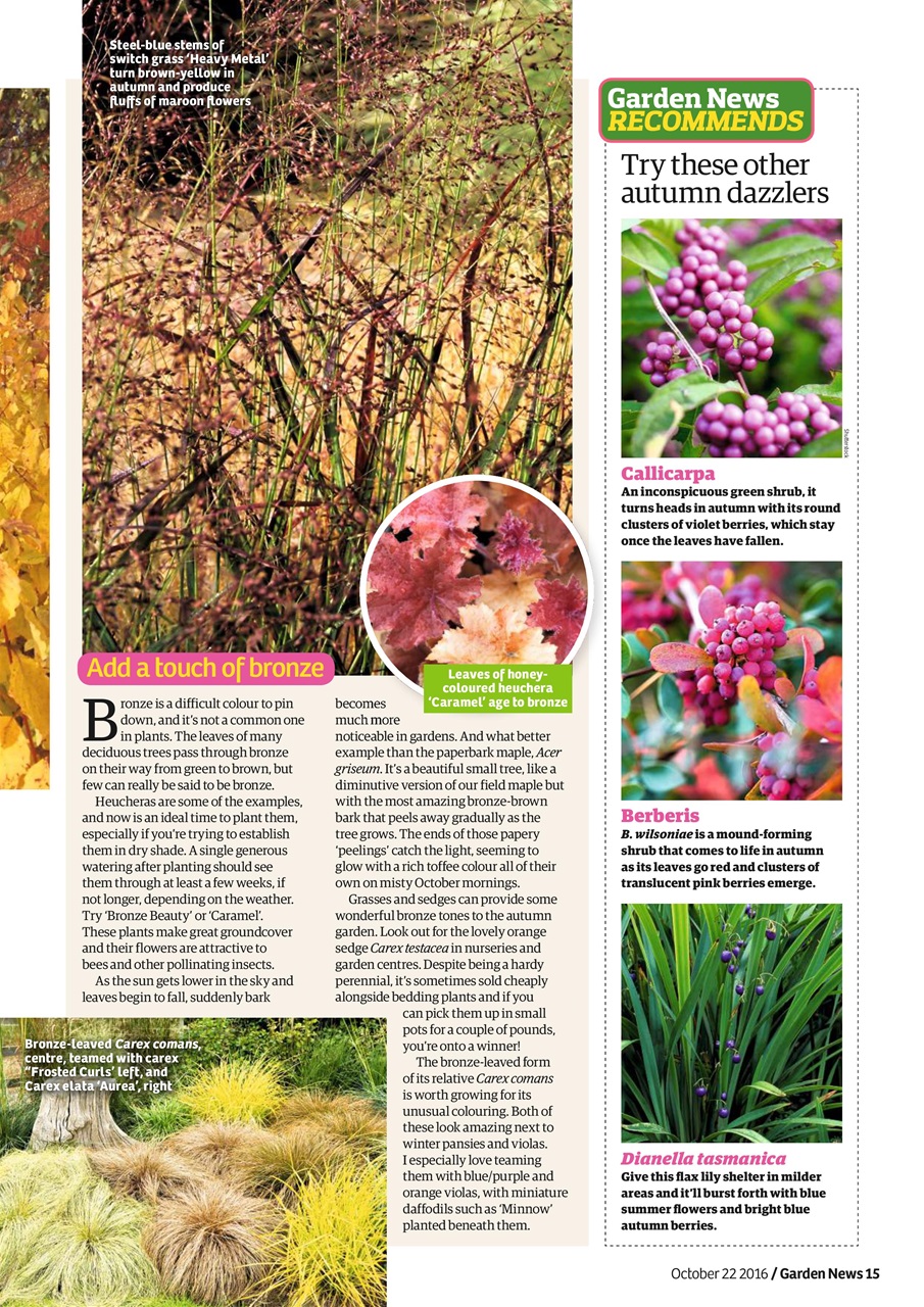 Garden News Preview Pages