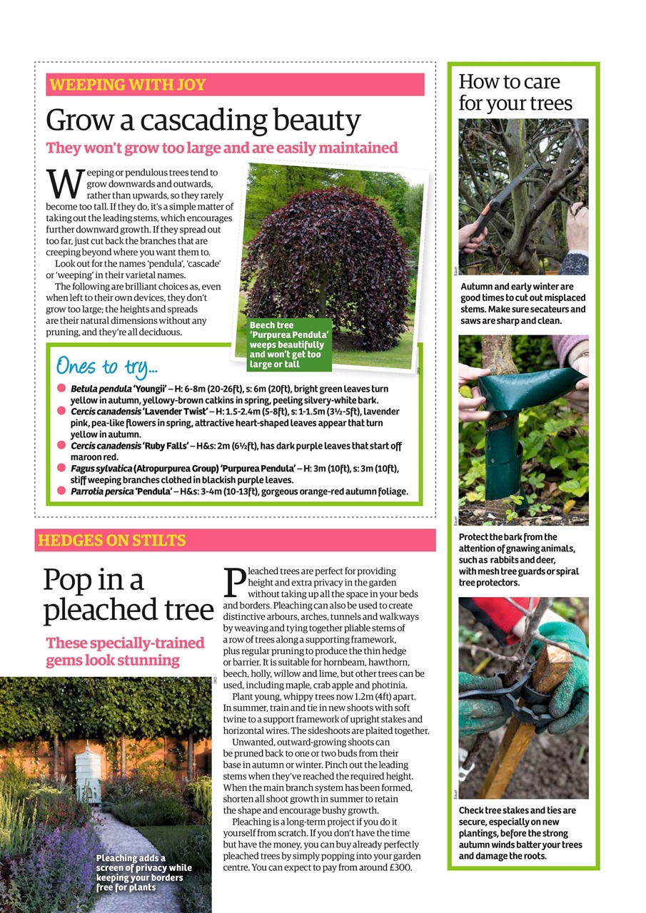 Garden News Preview Pages