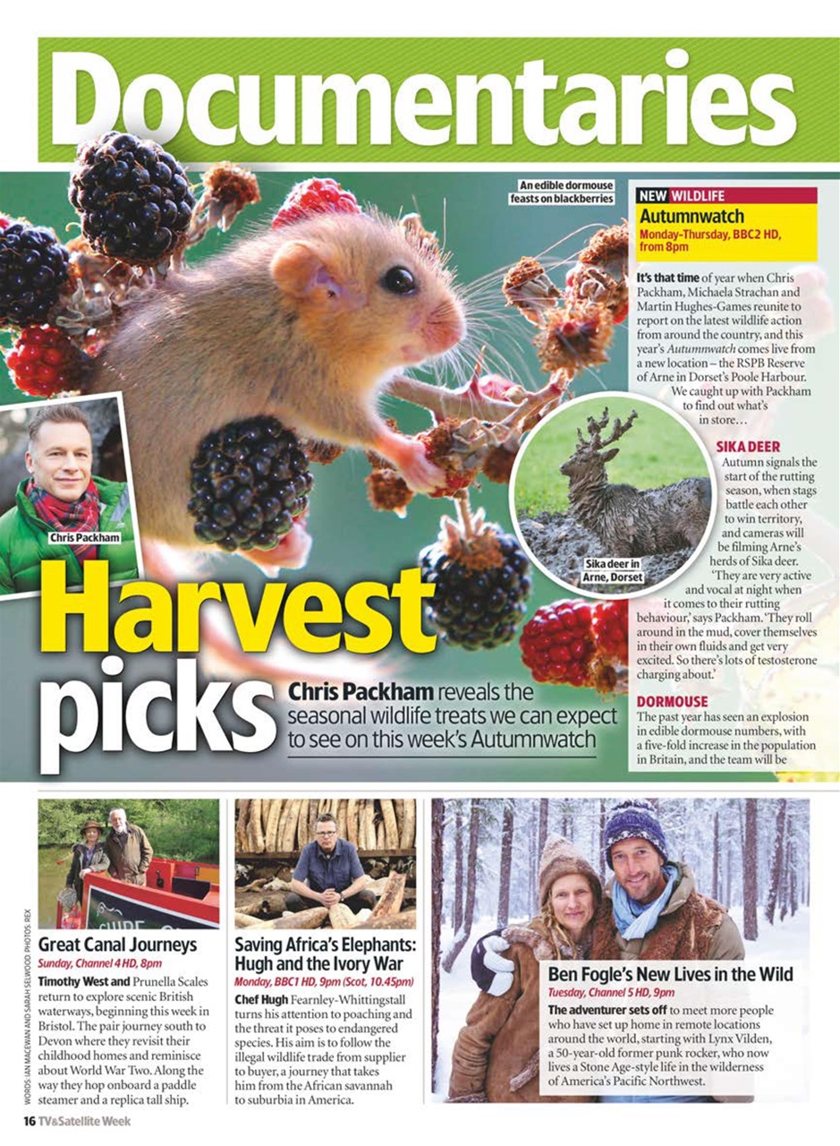 TV & Satellite Week Preview Pages