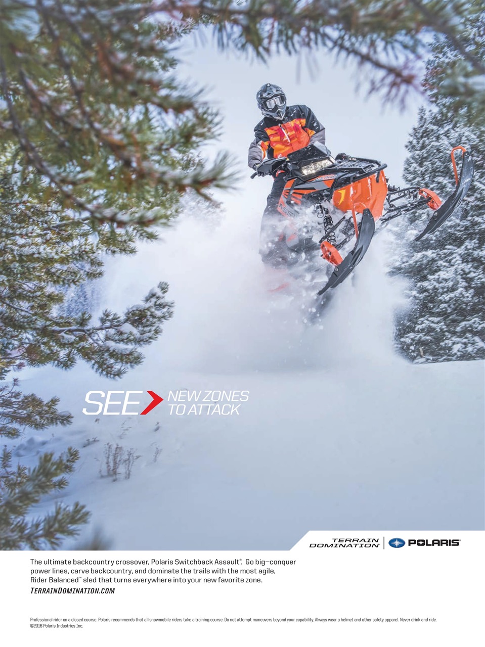 SnowGoer Preview Pages