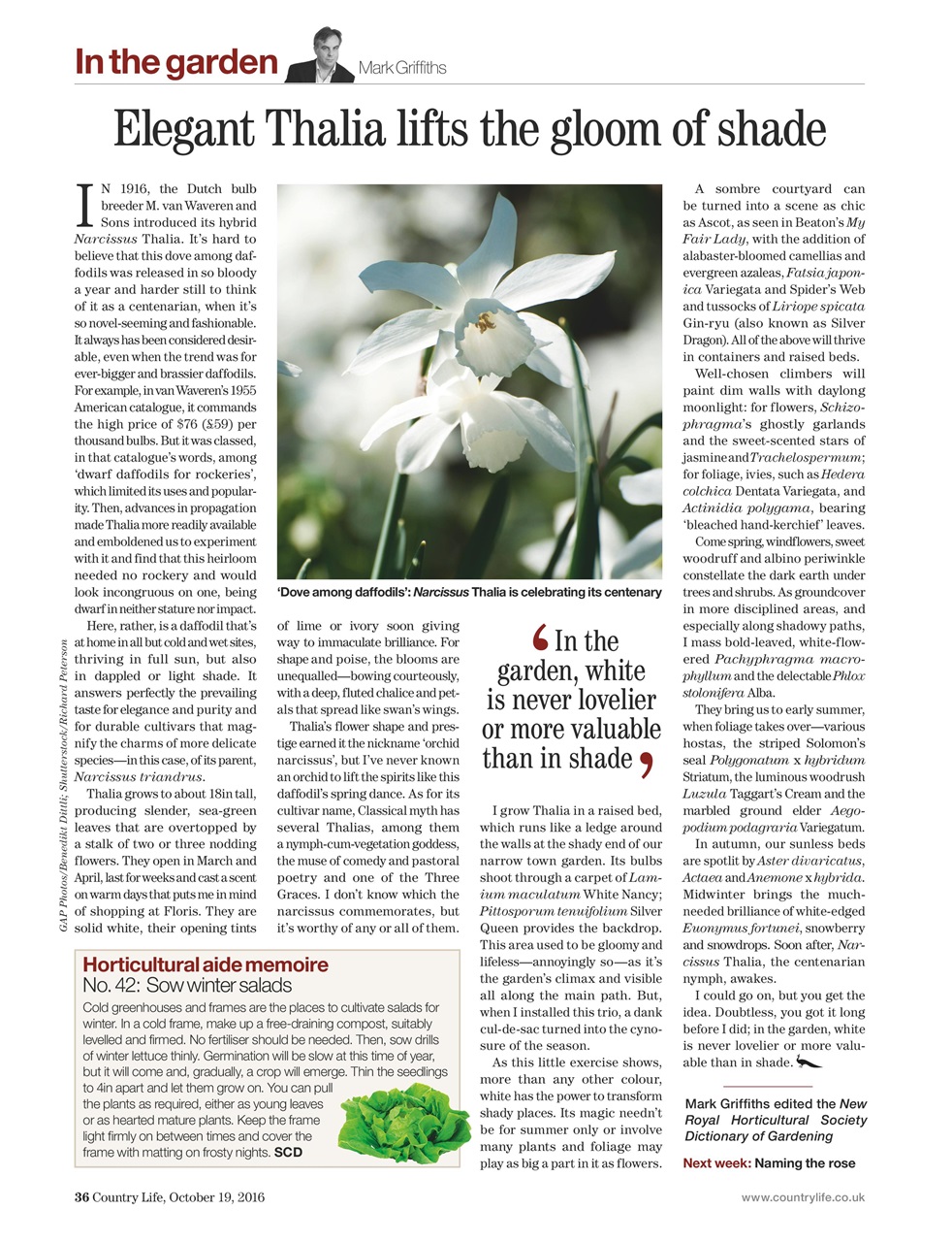 Country Life Preview Pages