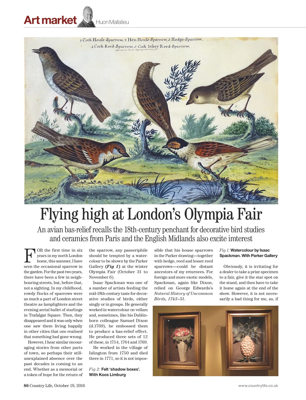 Country Life Preview Pages