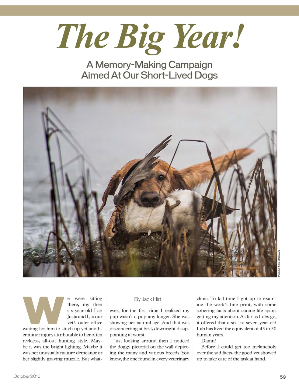 American Waterfowler Preview Pages