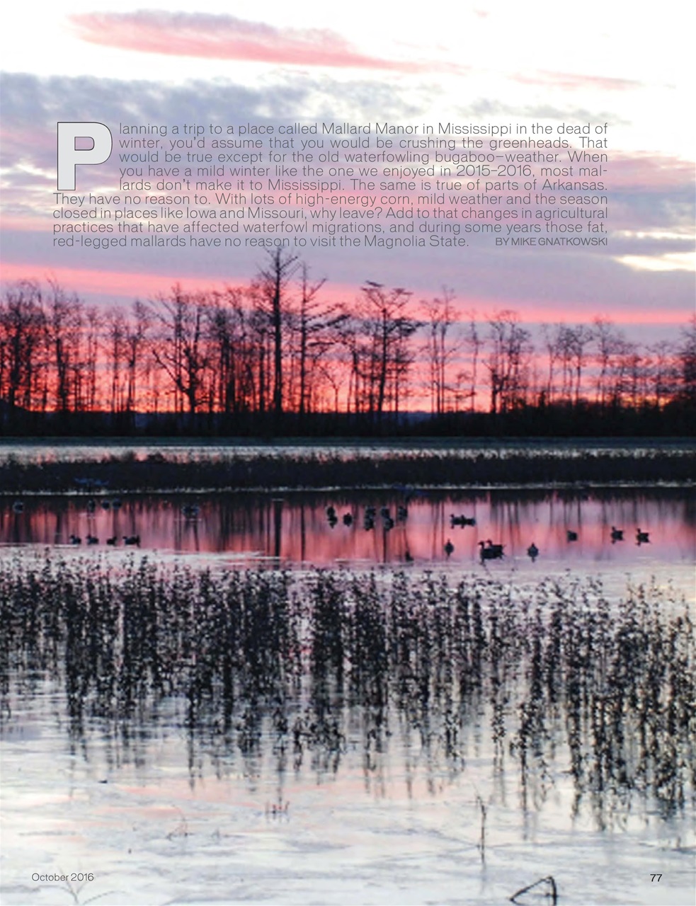 American Waterfowler Preview Pages