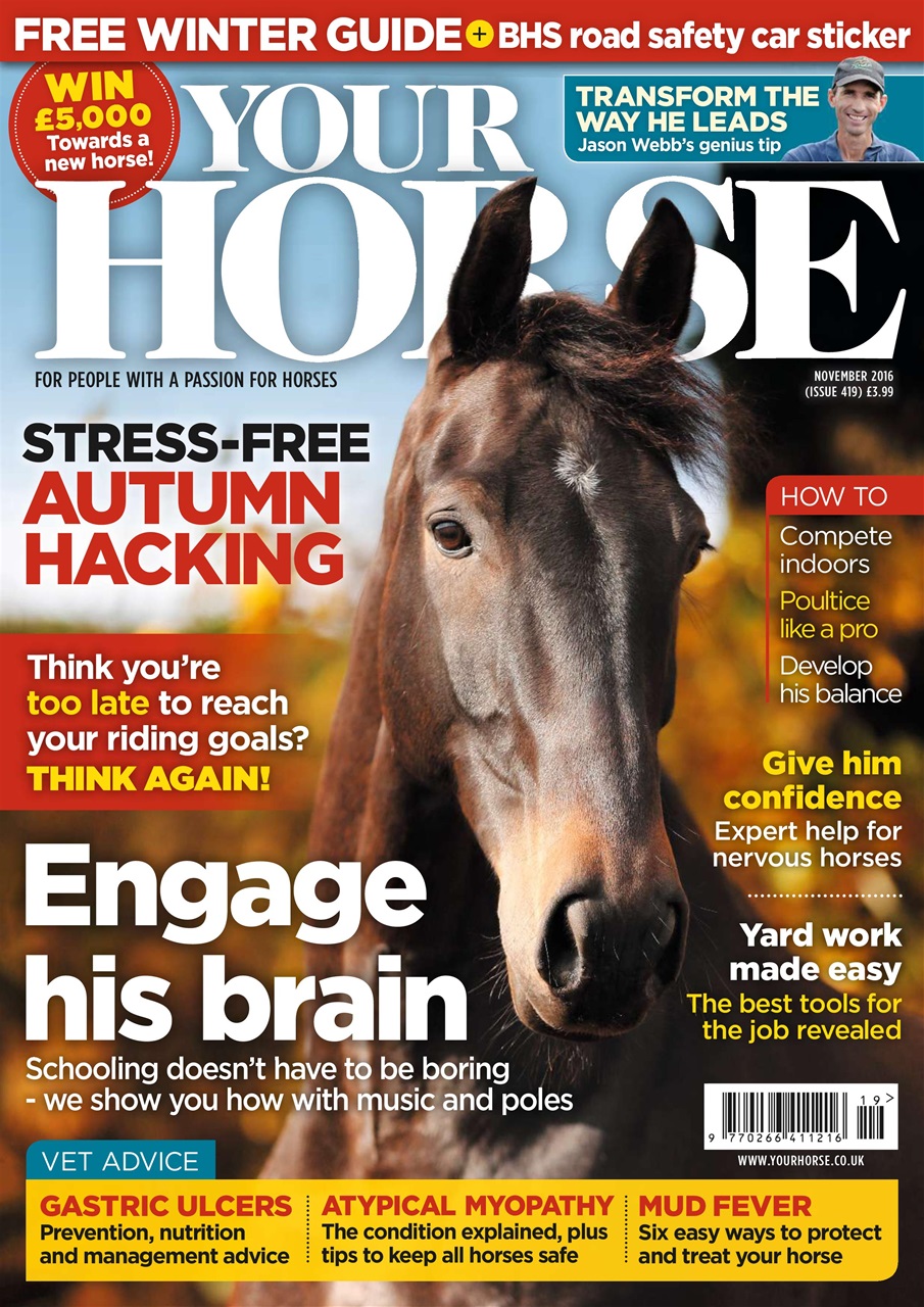 Your Horse Preview Pages