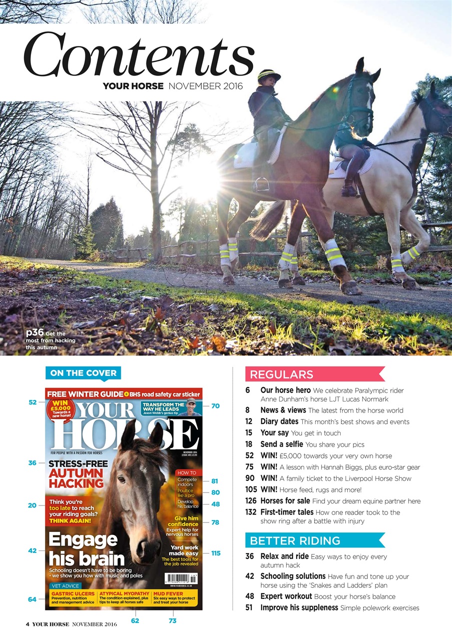 Your Horse Preview Pages