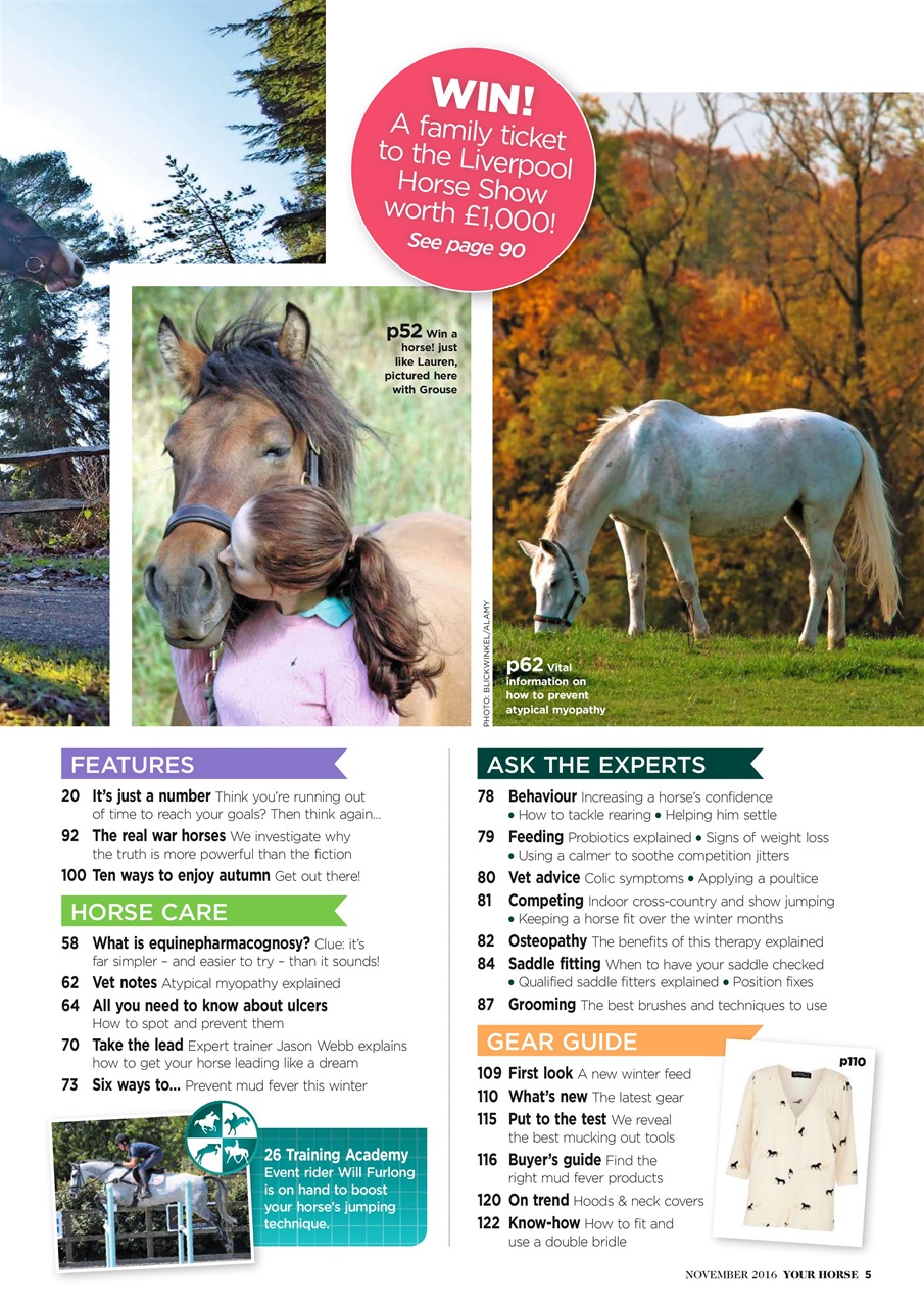 Your Horse Preview Pages